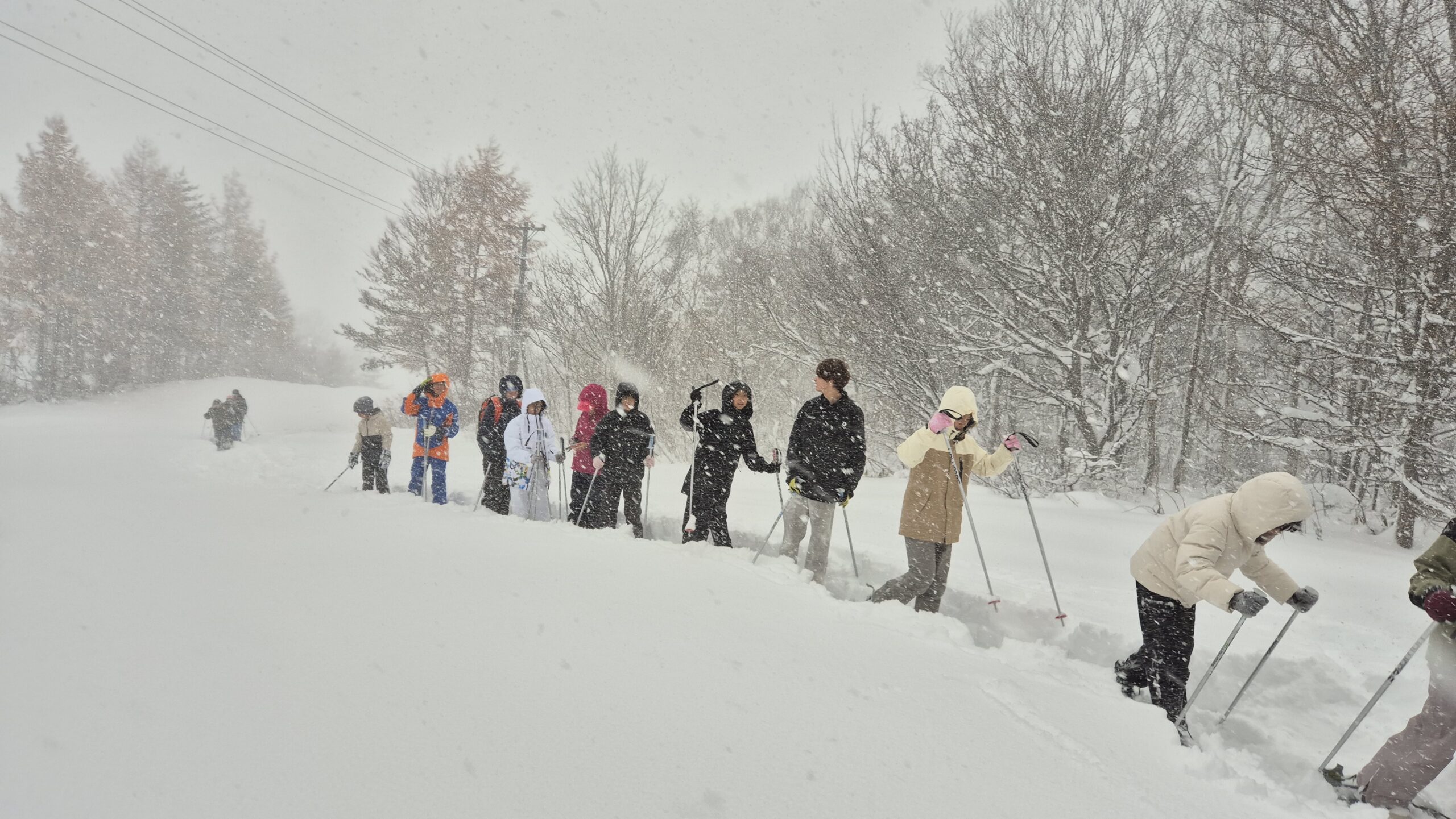 White Season has arrived!