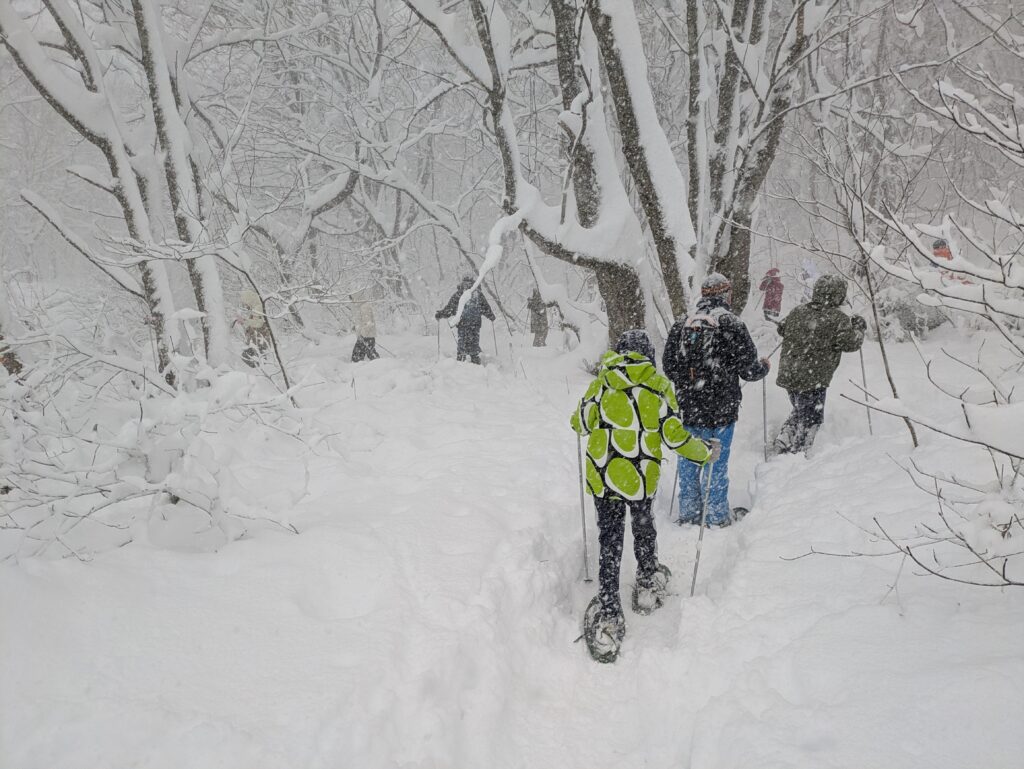 PXL_20251118_055840384.MP