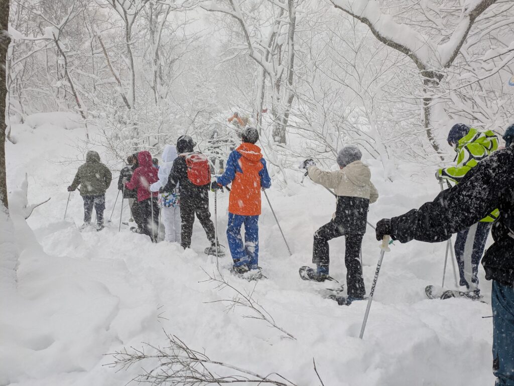 PXL_20251118_055937869