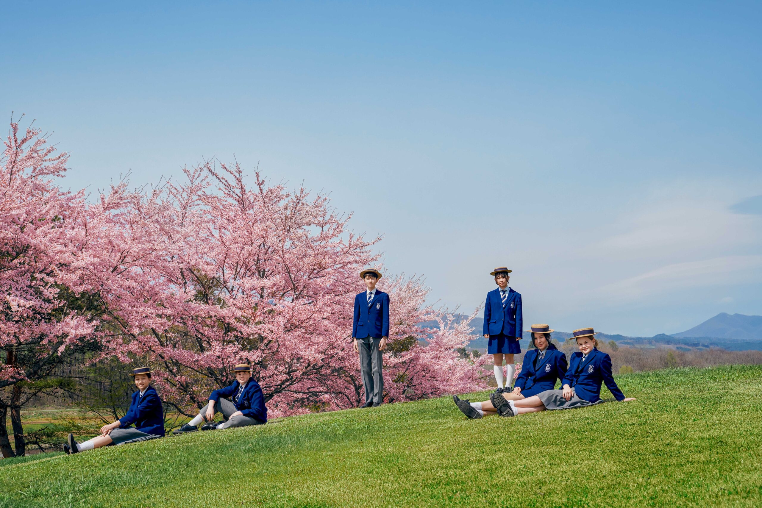 [EDIT] Pink Cherry Blossom 1