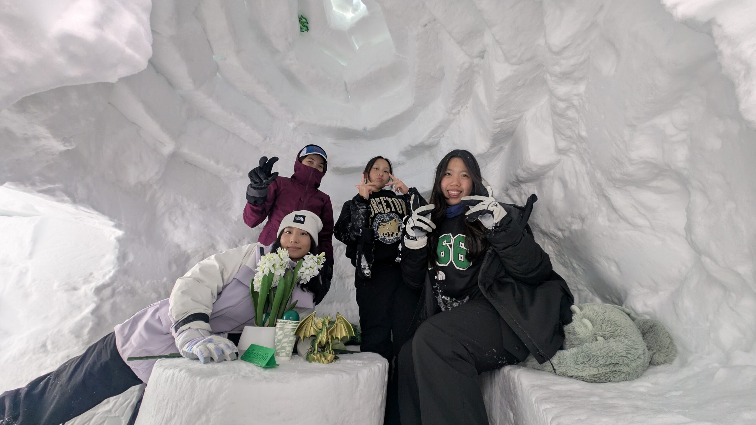 House Igloo Building Competition 2026