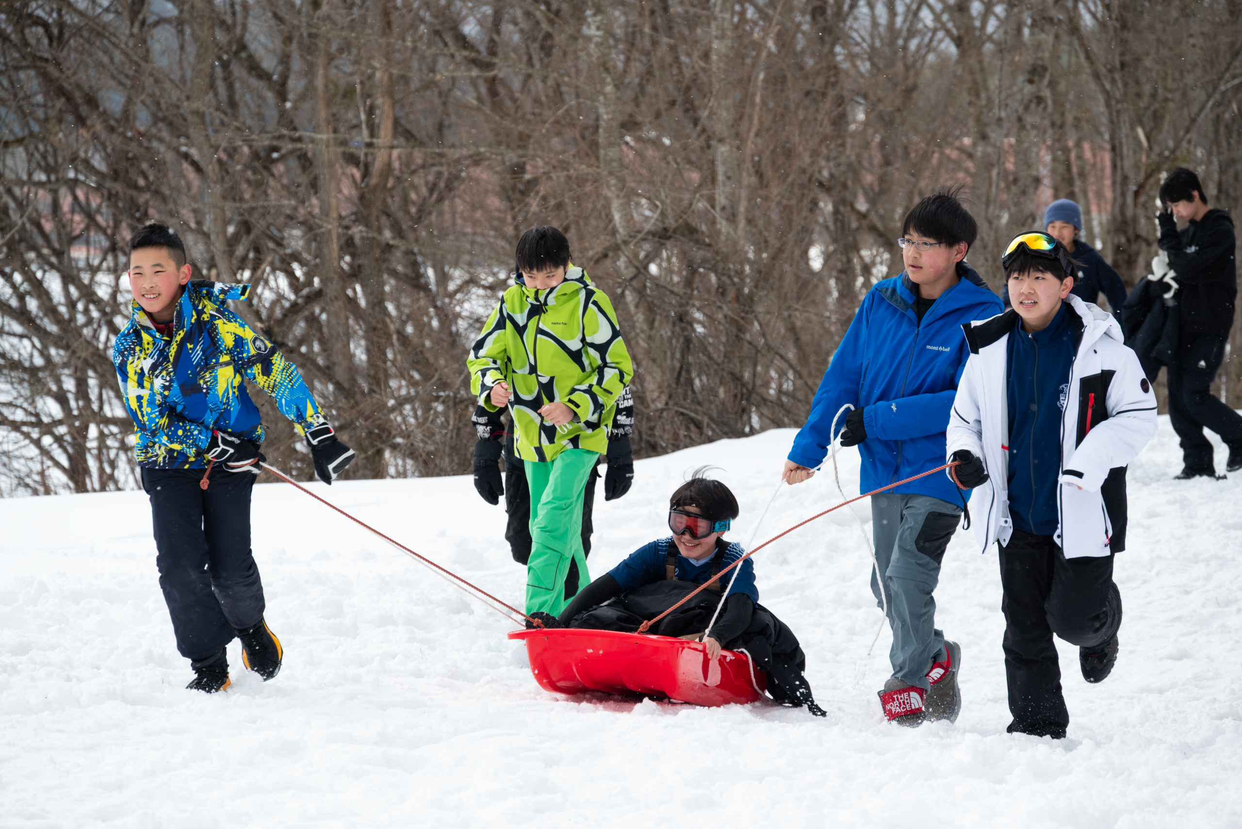 White Long Ducker 2026